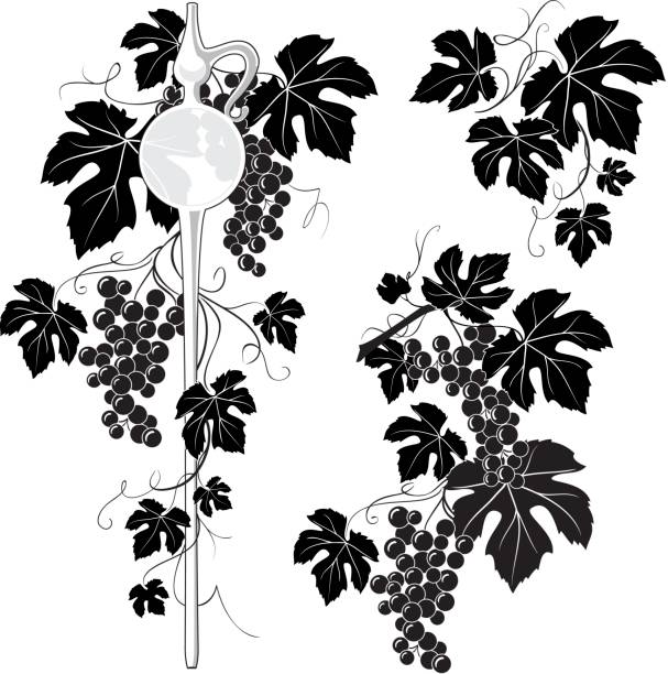 ワインピペット&グレープバインの装飾 - ブドウの葉点のイラスト素材／クリップアート素材／マンガ素材／アイコン素材