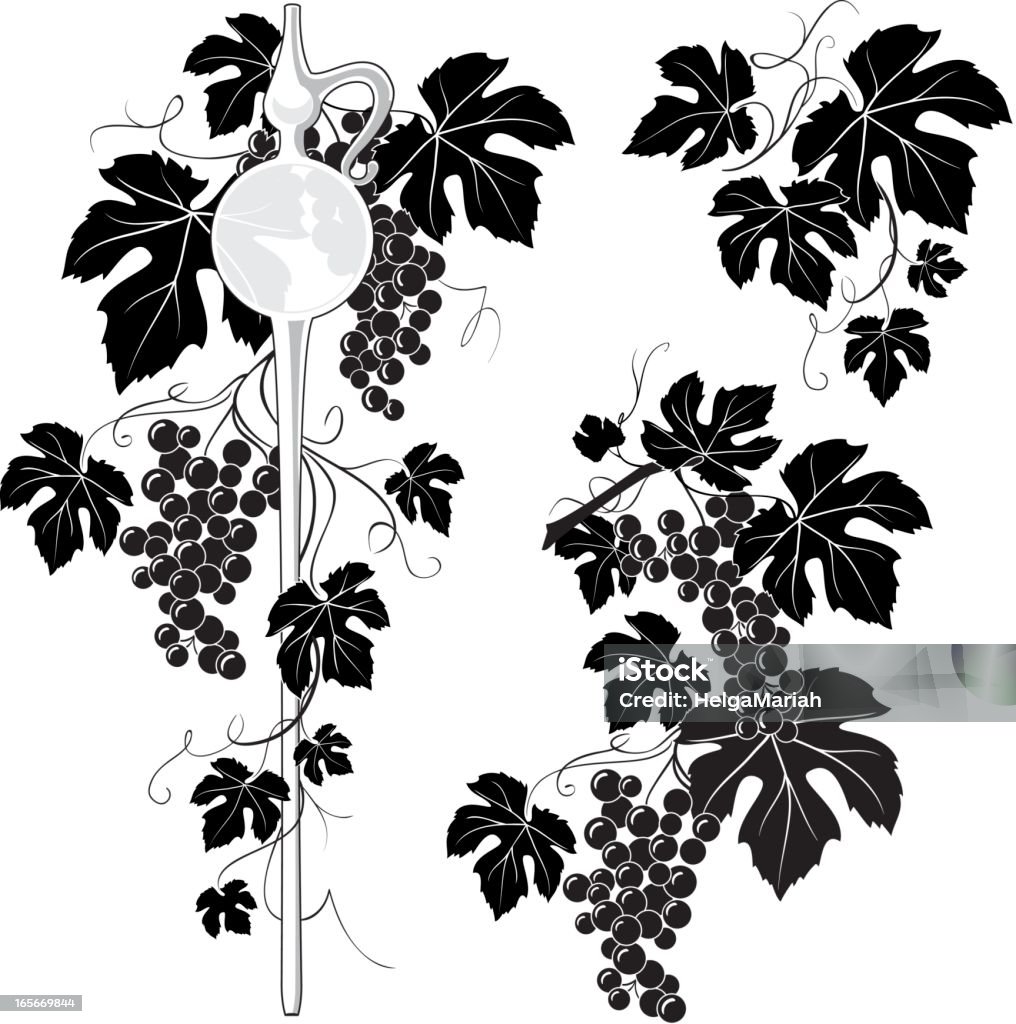 Vinho Pipeta & Grapevine decoração - Vetor de Folha de Parreira royalty-free