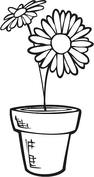 Vector illustration of Potted Daisy - Line Art