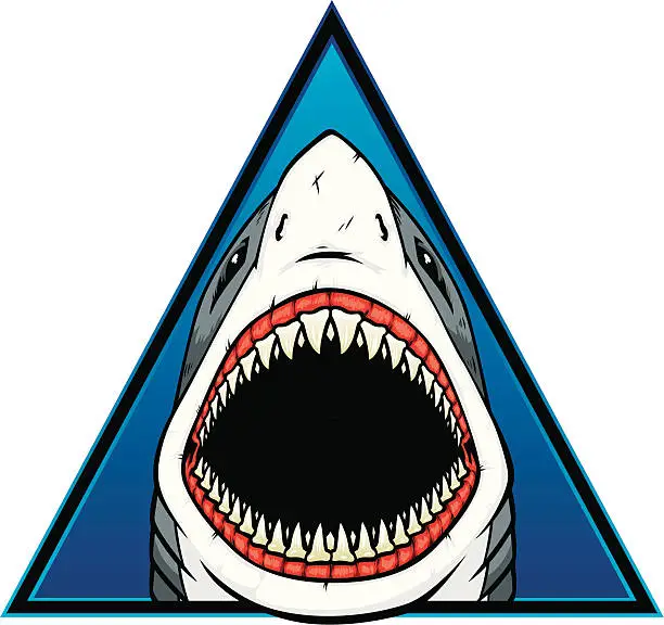 Vector illustration of shark triangle