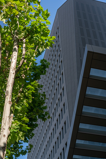 Skyscraper, Wall - Building Feature, Building Exterior, Built Structure, Glass,tree