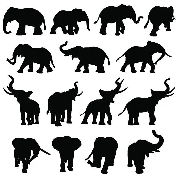 Vector illustration of Elephant silhouette collection