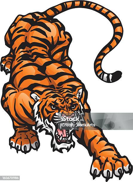Ilustración de Crouching Tiger y más Vectores Libres de Derechos de Tigre - Tigre, Vector, Agacharse