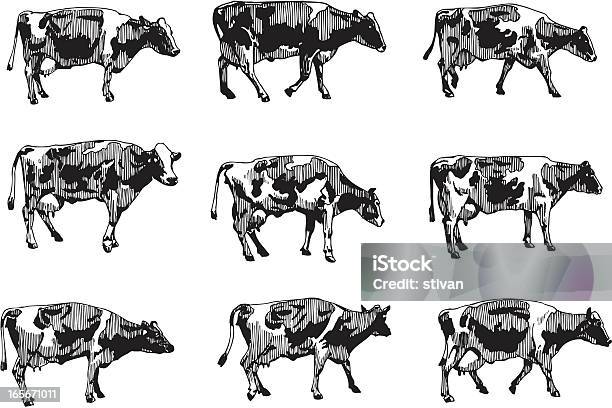 Krowy - Stockowe grafiki wektorowe i więcej obrazów Bydło domowe - Bydło domowe, Krowa, Ilustracja