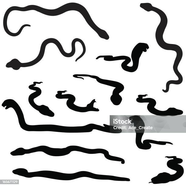 Snake Silhouette Collection Stock Illustration - Download Image Now - Snake, Vector, Black Color