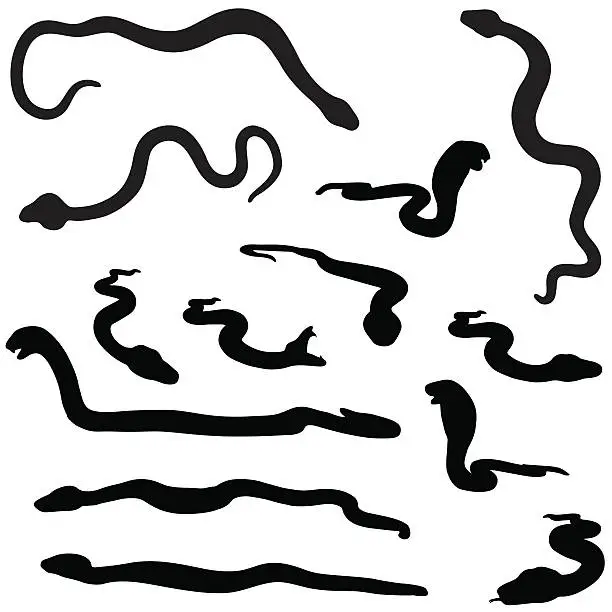 Vector illustration of Snake silhouette collection