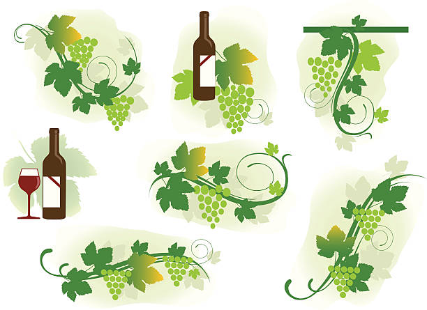 виноград завитками - grape leaf stock illustrations