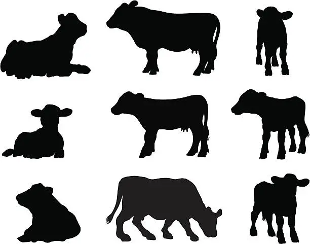 Vector illustration of Cows relaxing in silhouette