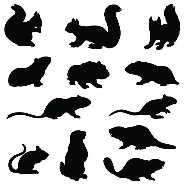 Vector illustration of Rodent silhouette collection