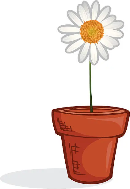 Vector illustration of Potted White Daisy