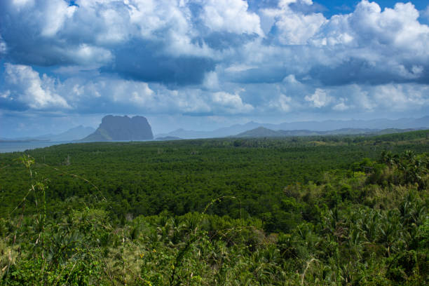 istock Philippine jungle from the top of a viewpoint 1656719978