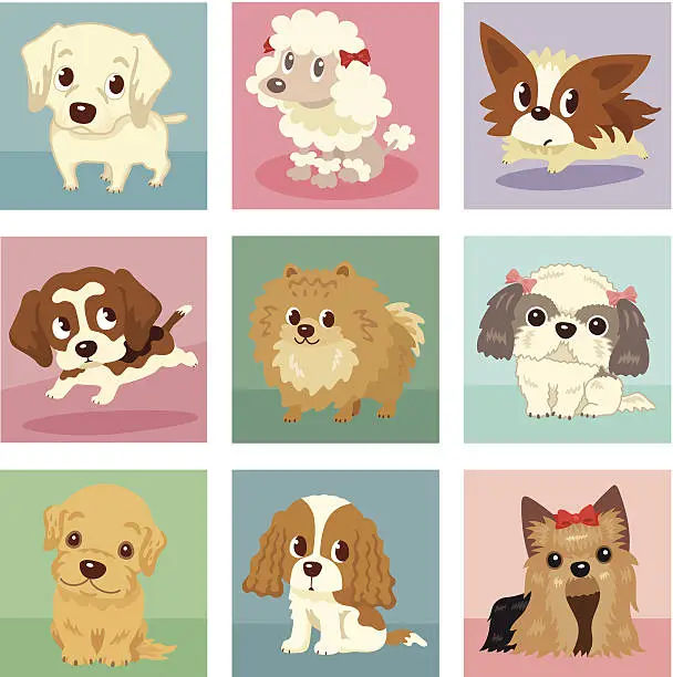 Vector illustration of Many poses of puppies