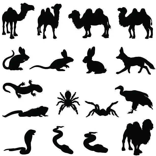 Vector illustration of Desert animals silhouette set