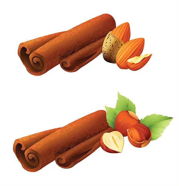 Vector illustration of cinnamon with nuts