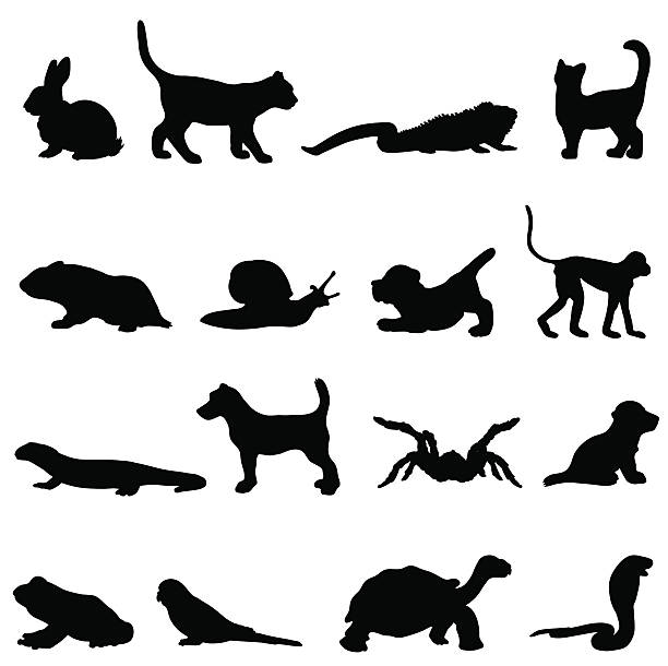 illustrations, cliparts, dessins animés et icônes de profils collection de silhouette animaux de compagnie - dog animal pets profile