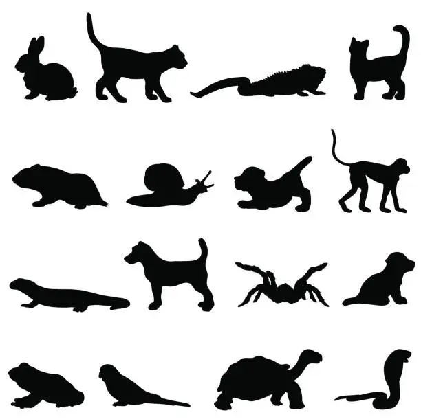 Vector illustration of Pet silhouette collection profiles