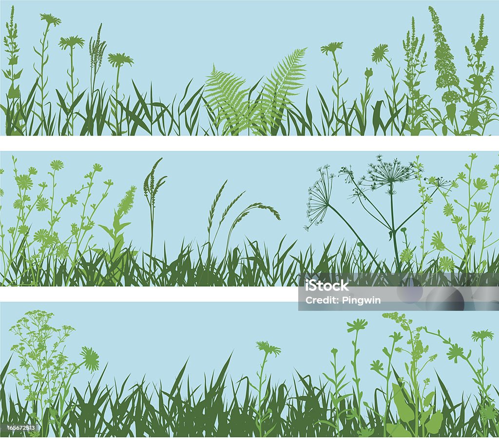 Kolekcja dzikich roślin - Grafika wektorowa royalty-free (Sylwetka)