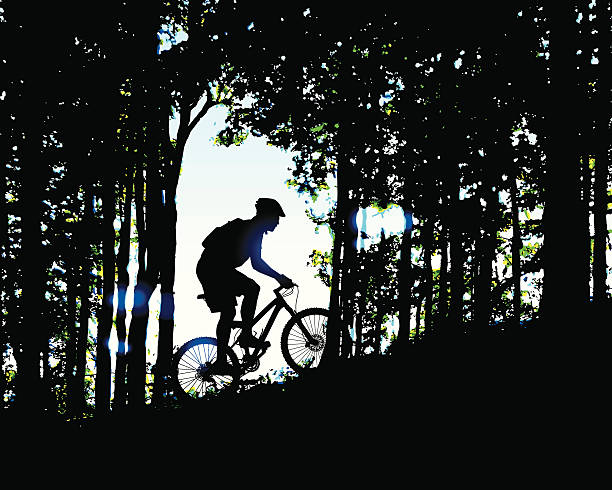утро горном велосипеде в лесу - mountain biking silhouette cycling bicycle stock illustrations