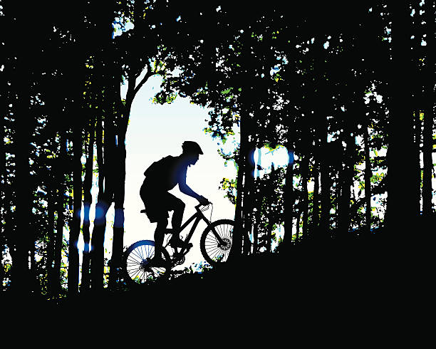 Morning Mountain Bike Ride in the Woods vector art illustration