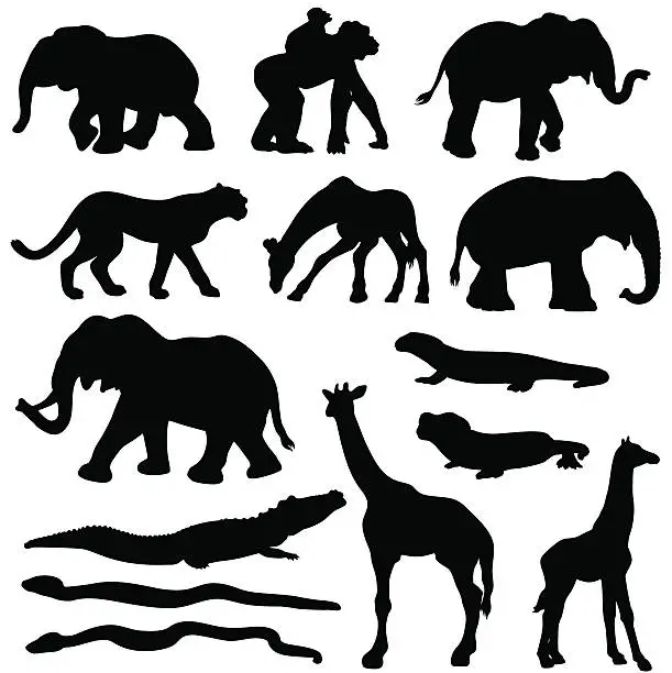 Vector illustration of African animals silhouette set