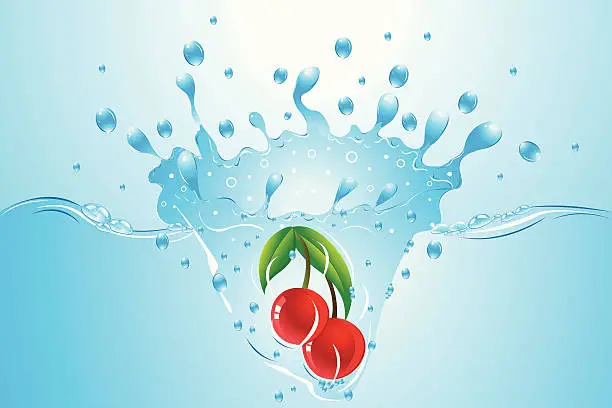 Vector illustration of Water Splash..