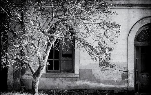 monochrome image of a derelict abandoned old stone house with broken window and shabby wooden door overgrown with weeds
