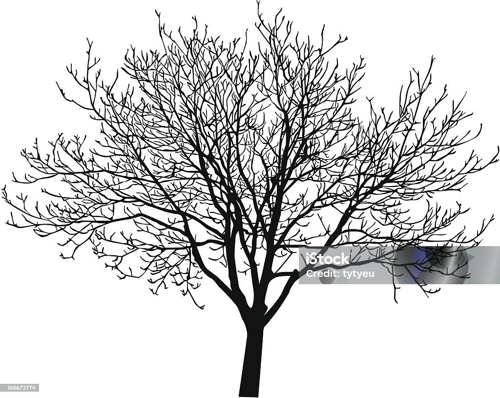 Árvore de vetor - Vetor de Ávore seca royalty-free