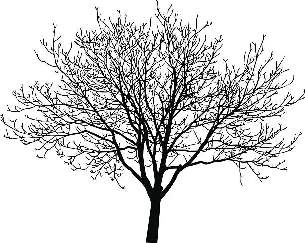 Vector illustration of Vector tree