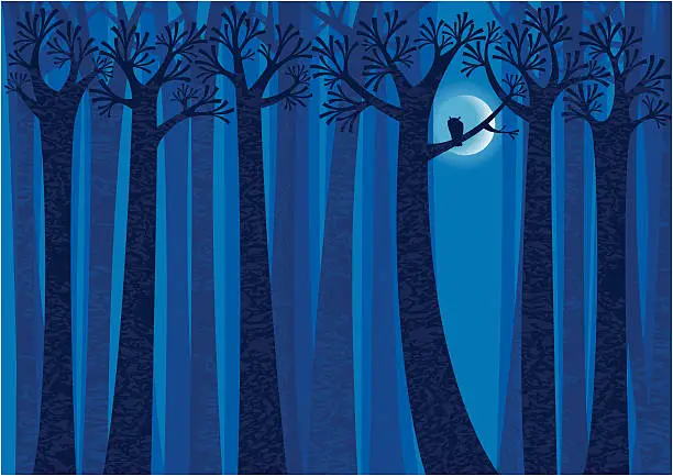 Vector illustration of Night,Trees, Owl and Moon - Forest Background