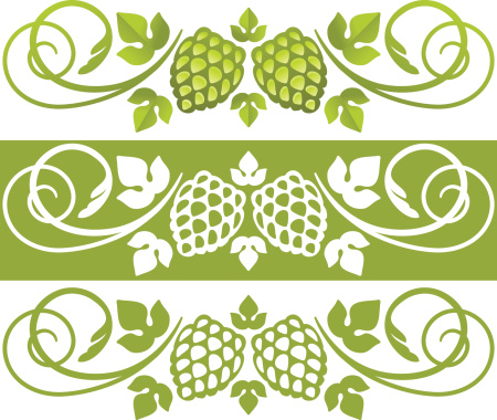 Hop plant design element for beer related designs. Vector illustration.