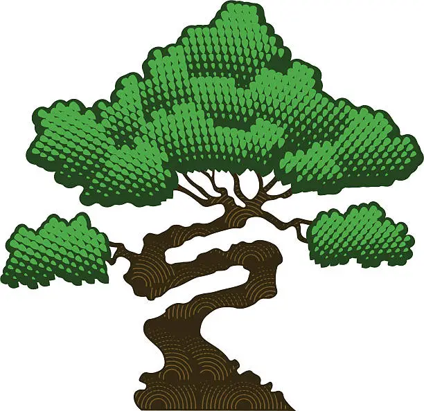 Vector illustration of Bonsai tree