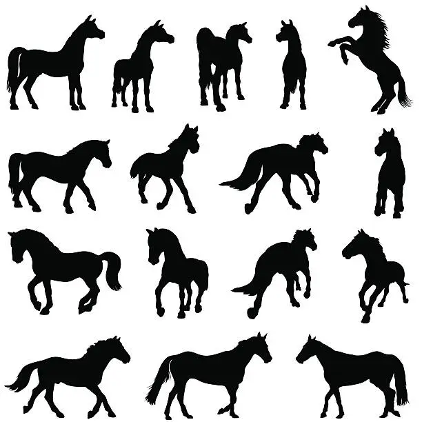 Vector illustration of Set of horse silhouettes