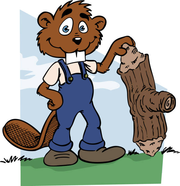 Beaver vector art illustration