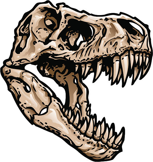 t rex スカル - animal teeth animal skull extinct animal bone点のイラスト素材／クリップアート素材／マンガ素材／アイコン素材