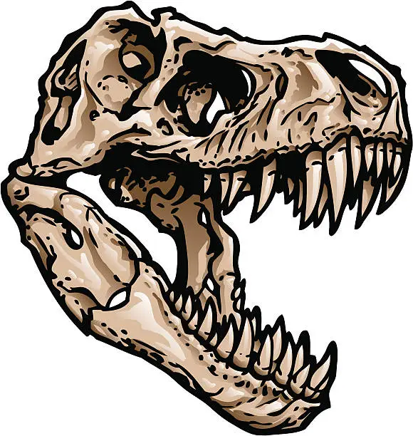 Vector illustration of T Rex Skull