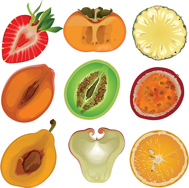 illustrazioni stock, clip art, cartoni animati e icone di tendenza di di frutta core - peach fruit portion orange