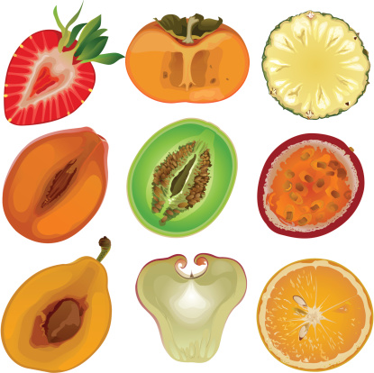 Vector illustration of fruits and vegetables. 