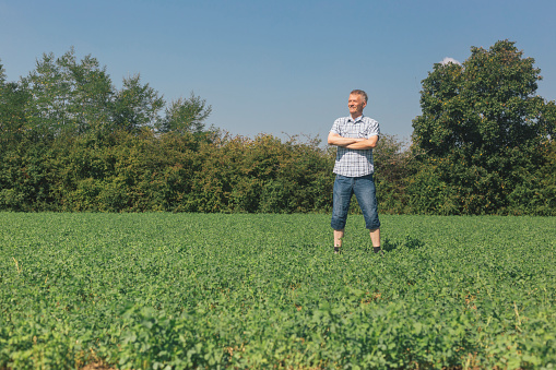 Farmer at his clover agricultural field