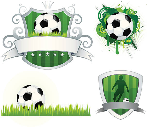 축구 디자인식 설정 - bettafish stock illustrations