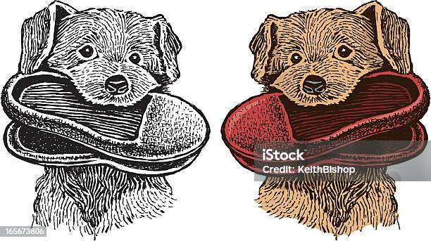 Cane Dando Pantofole Gli Avanzi Cucciolo Canemiglior Amico Delluomo Un Amico - Immagini vettoriali stock e altre immagini di Animale