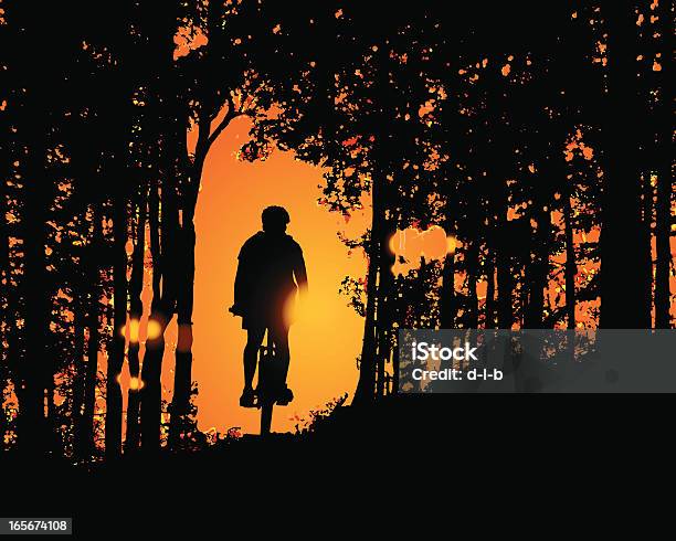 Vetores de Pôr Do Sol Passeio Na Floresta e mais imagens de Ciclismo - Ciclismo, Floresta, Mountain Bike - Ciclismo