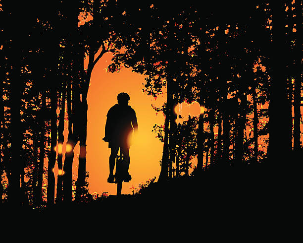 Sunset Ride in the Woods vector art illustration