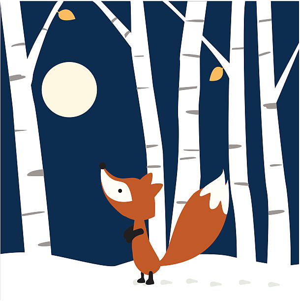 Fox Sees the Moon vector art illustration