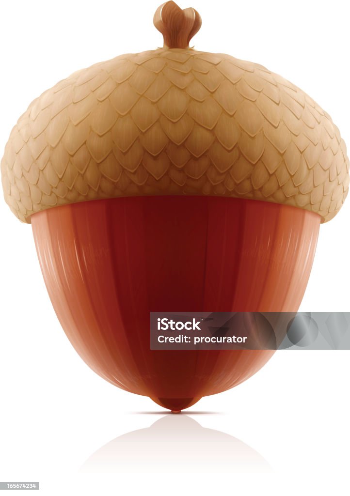 Acorn - clipart vectoriel de Gland libre de droits