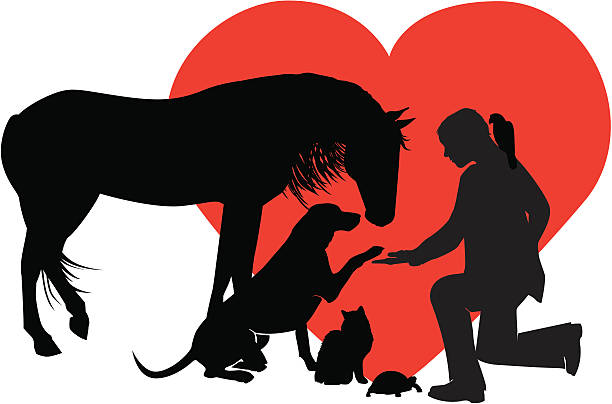ilustraciones, imágenes clip art, dibujos animados e iconos de stock de veterinario para pequeñas & grande de animales - perro adiestrado