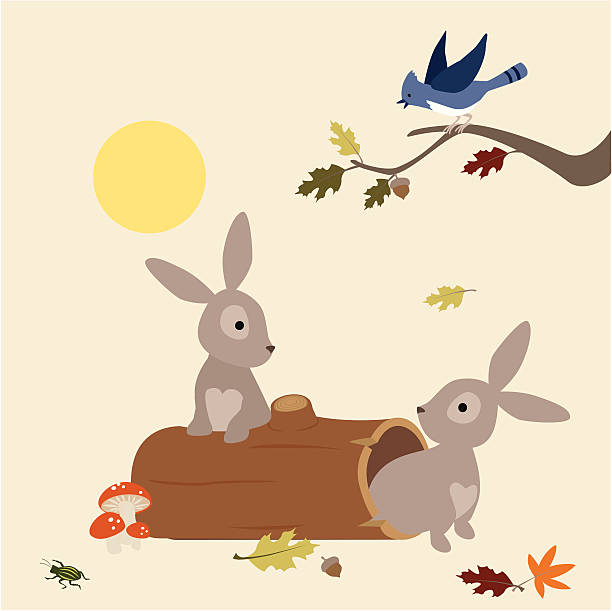 Bunnies Wake Up vector art illustration
