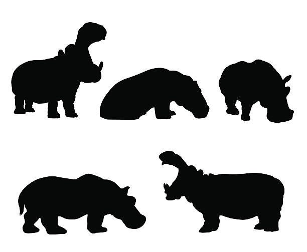 illustrazioni stock, clip art, cartoni animati e icone di tendenza di insieme della siluetta dell'ippopotamo - ippopotamo