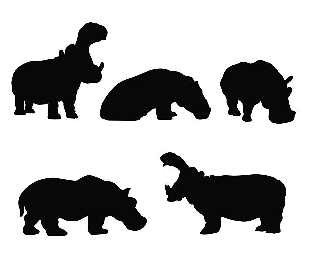 Hippo silhouette set hippopotamus silhouettes. Five different positions including sitting standing and with mouth open. hippopotamus stock illustrations