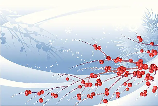 Vector illustration of Red berries in snow