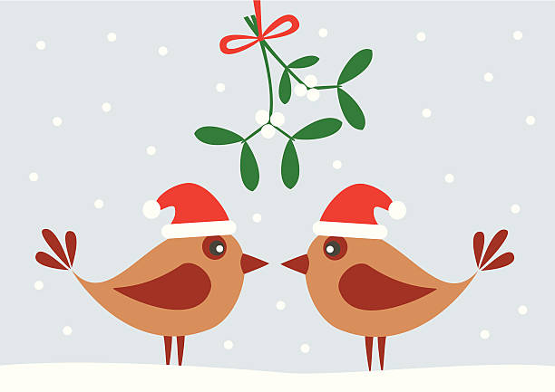птиц и омела - mistletoe stock illustrations